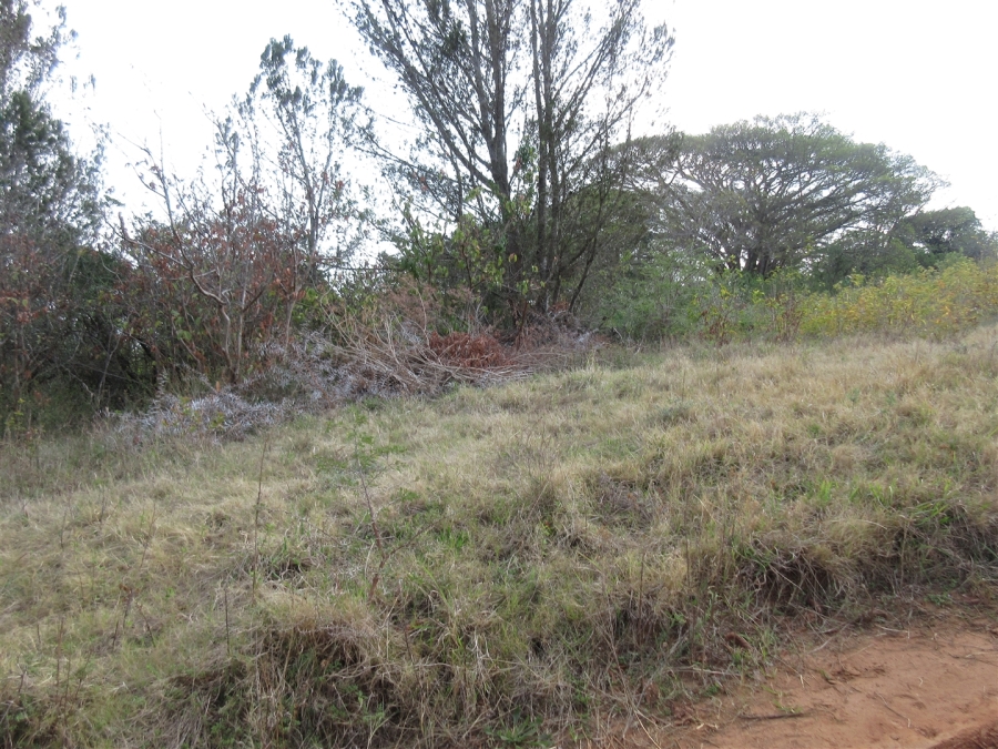 0 Bedroom Property for Sale in Bathurst Eastern Cape